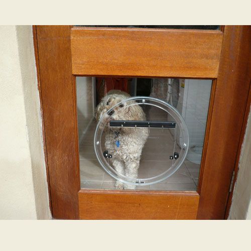 Cat Doors Melbourne Dog Doors Melbourne