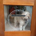 Dog Doors & Cat Doors