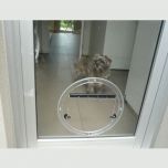 Dog Doors & Cat Doors